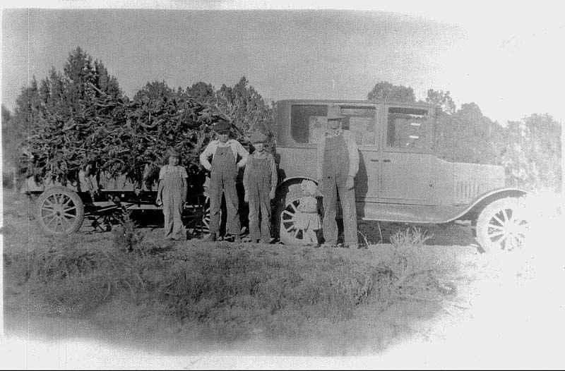 jwlgetwood.jpg 86.6K