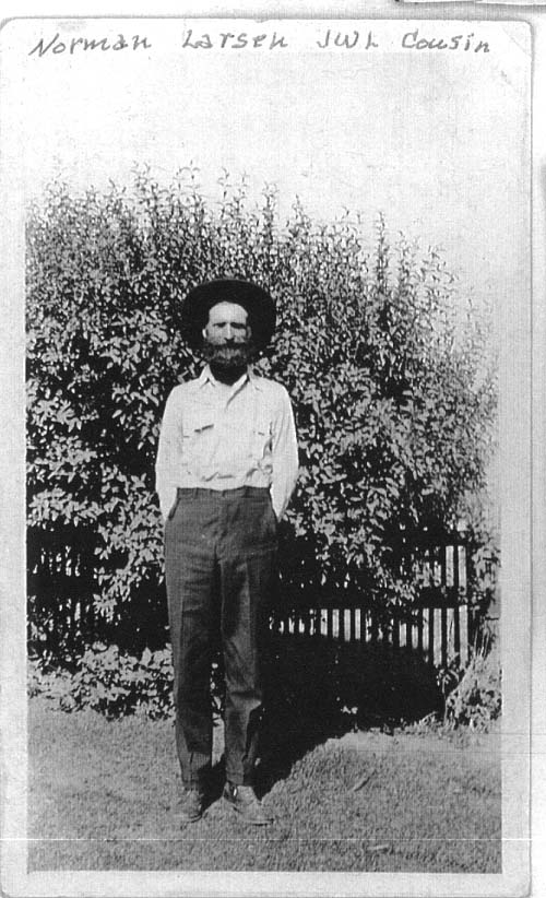 normlarsen.jpg 92.4K