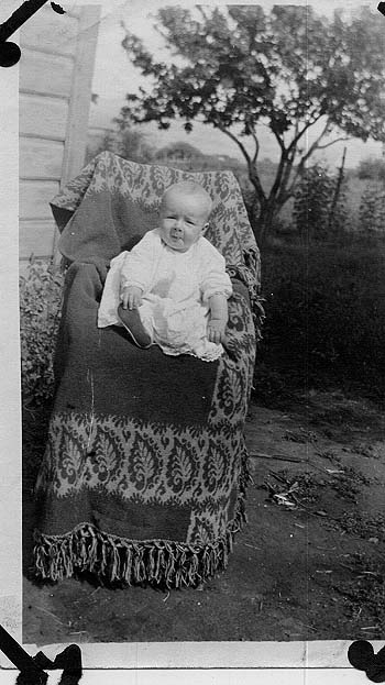 shellarsen.jpg 56.5K